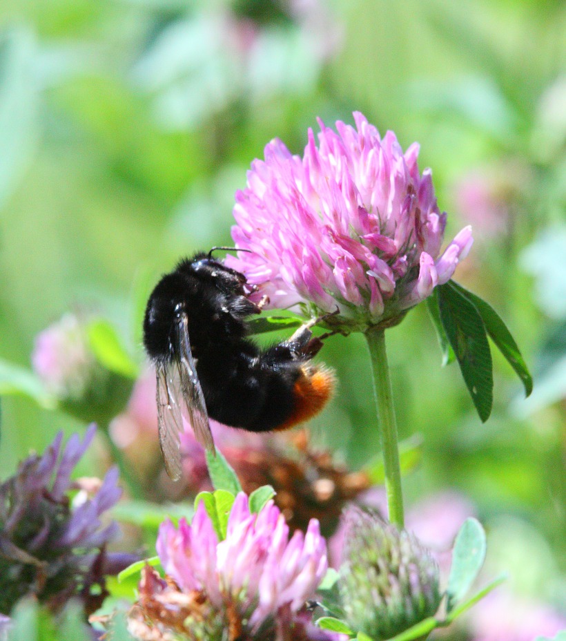 За работой...