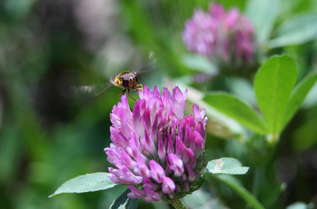 Посадку давай