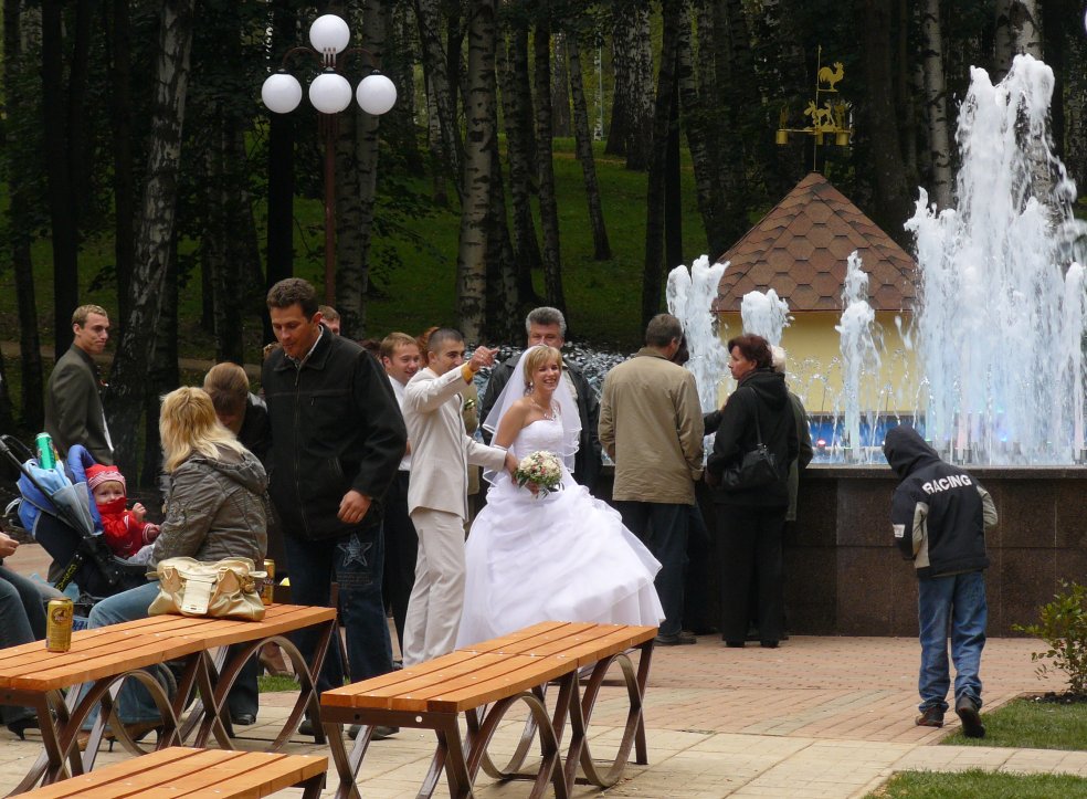 Молодожены