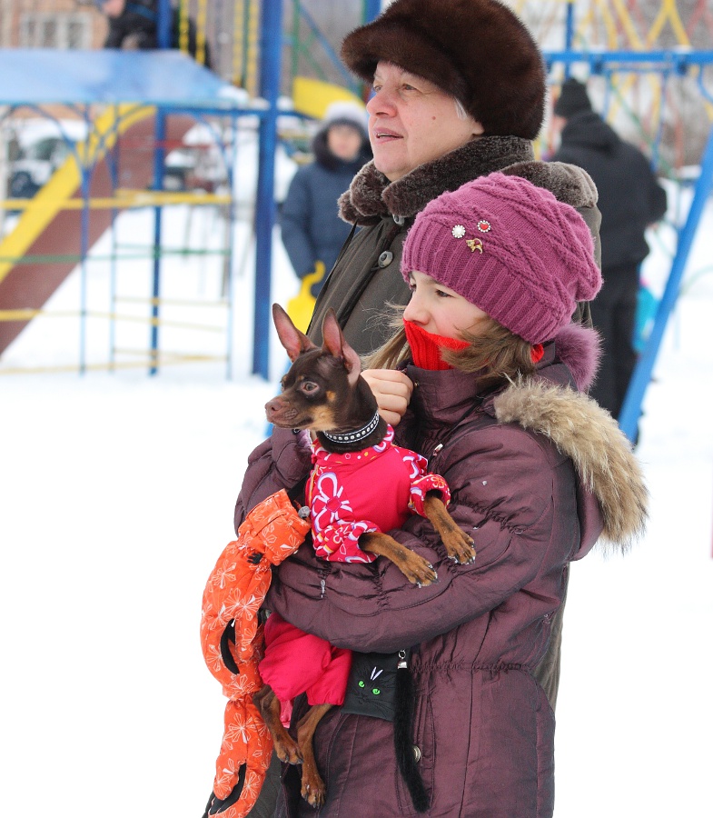 Неужели все упрут?